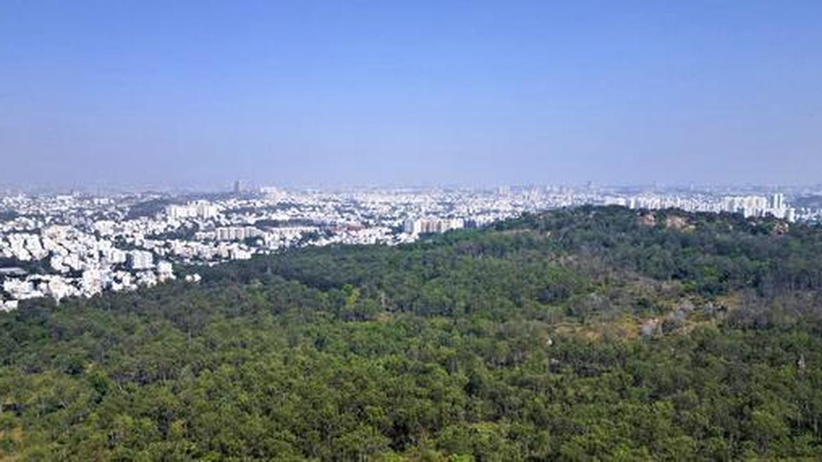 India Clarifies Amendments to Forest Conservation Act Guidelines