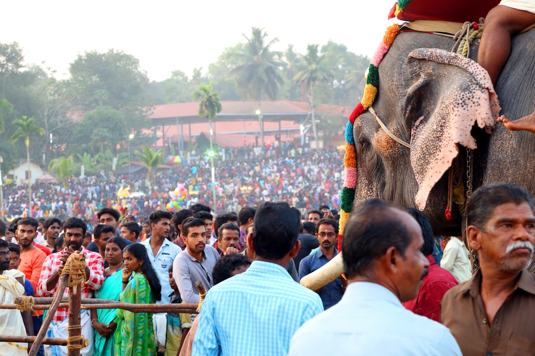 Kerala Political Cliffhanger as Congress High Command Takes Center Stage