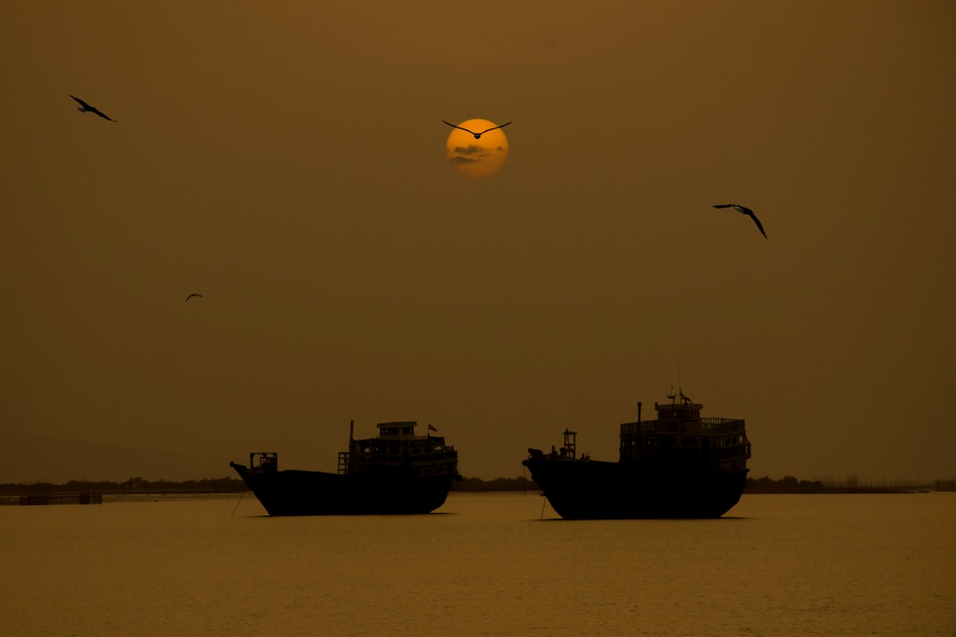 Iran Seizes Two Ships in Strait of Hormuz, Including Vessel Bound for Gujarat