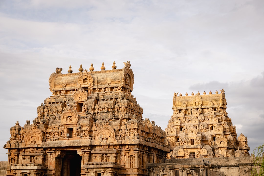 Tamil Nadu Government Formation: Left Support Boosts TVK Majority Bid