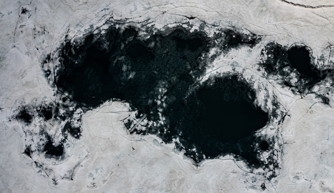 Atlantic SST Variability Found Primarily Forced; Pacific Shows Internal Dynamics