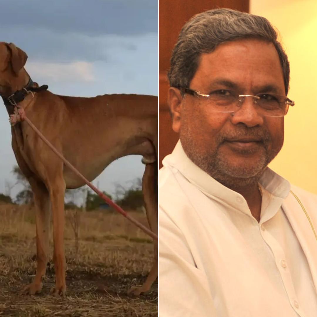 Karnataka Congress Leadership Remains Unchanged, Says R.B. Thimmapur