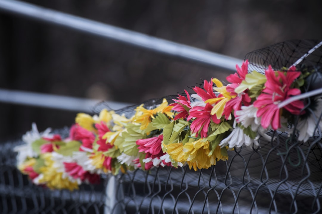 India Marks Pulwama Attack Anniversary as PM Modi Pays Tributes