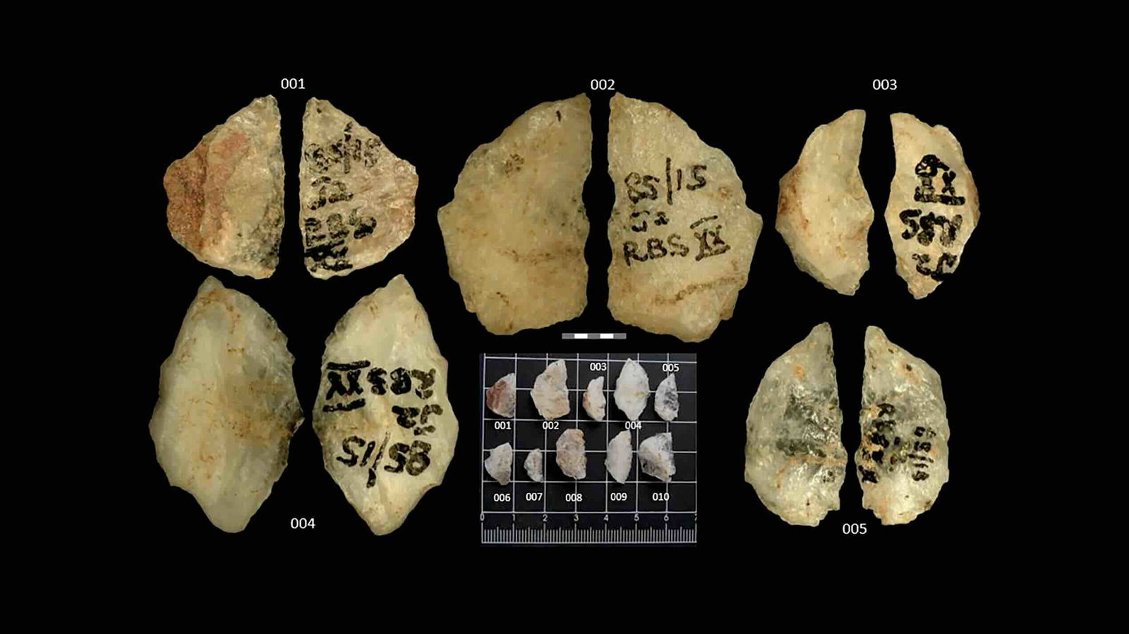 South Africa Uncovers World's Oldest Poison Arrows, Revealing Ancient Hunting Techniques