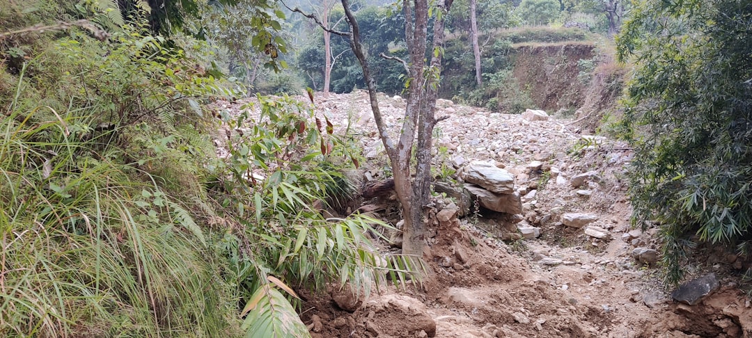 BJP landslide in Falta shatters TMC’s Diamond Harbour bastion