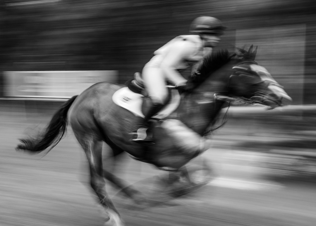 Horse trading at horse speed: DMK chief Stalin on AIADMK MLAs joining TVK